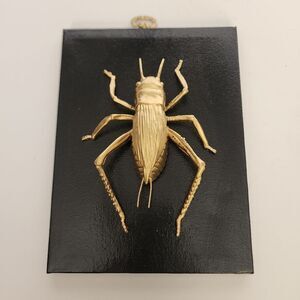 Handmade By Me Cricket Bug Art